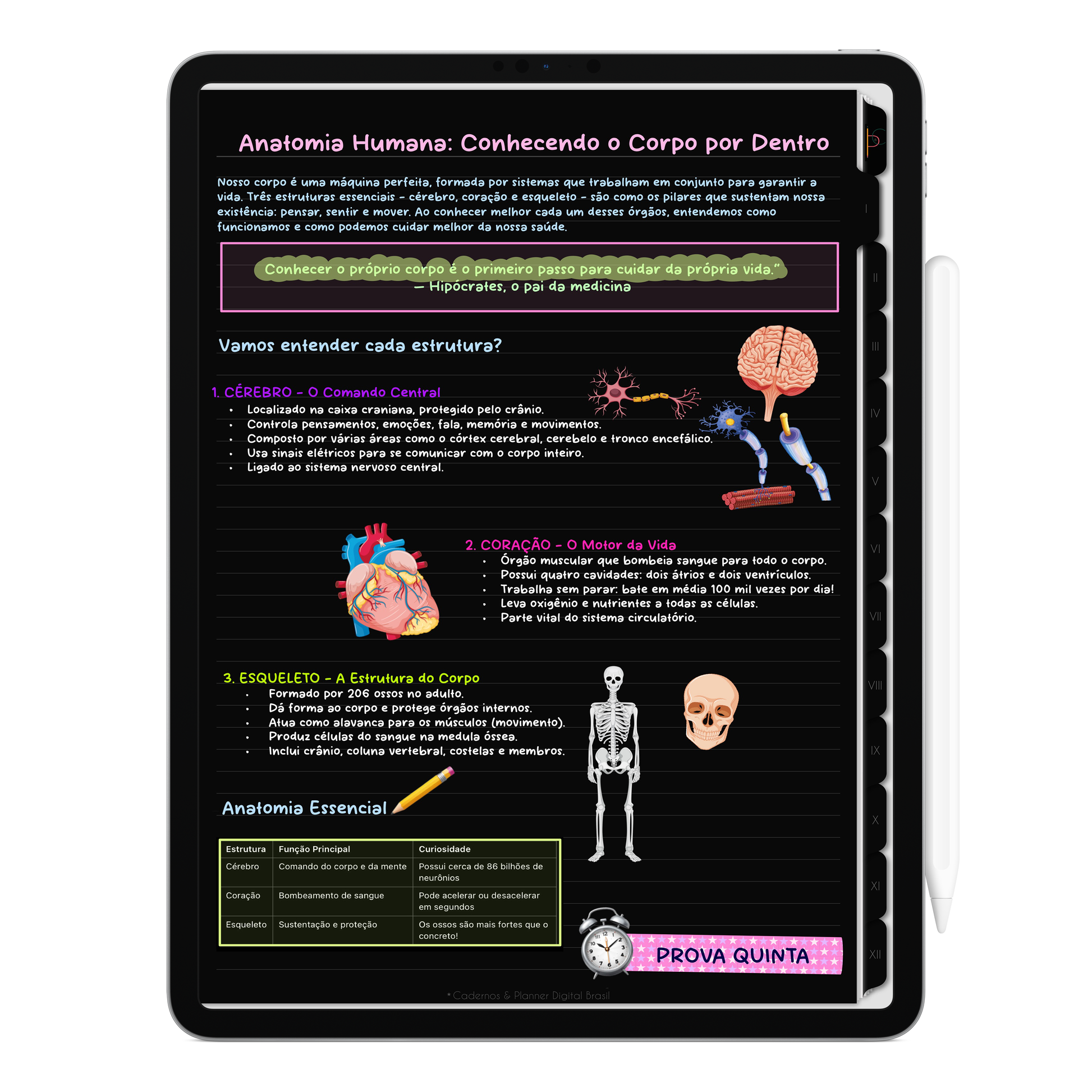 Caderno digital Unic Black básico e estiloso, para estudos e anotações. Exclusivo para estudar e se planejar no iPad e tablets Android tablets da Samsung (TabS6 Lite, Tab S9 Fe, Tab S9 +, Galaxy Tab S10 Ultra · Galaxy Tab S10+, compatível com aplicativos de anotações digitais GoodNotes e Notein. Baixe grátis o Caderno Digital Gratuito. Faça o download do Planner Digital Grátis.