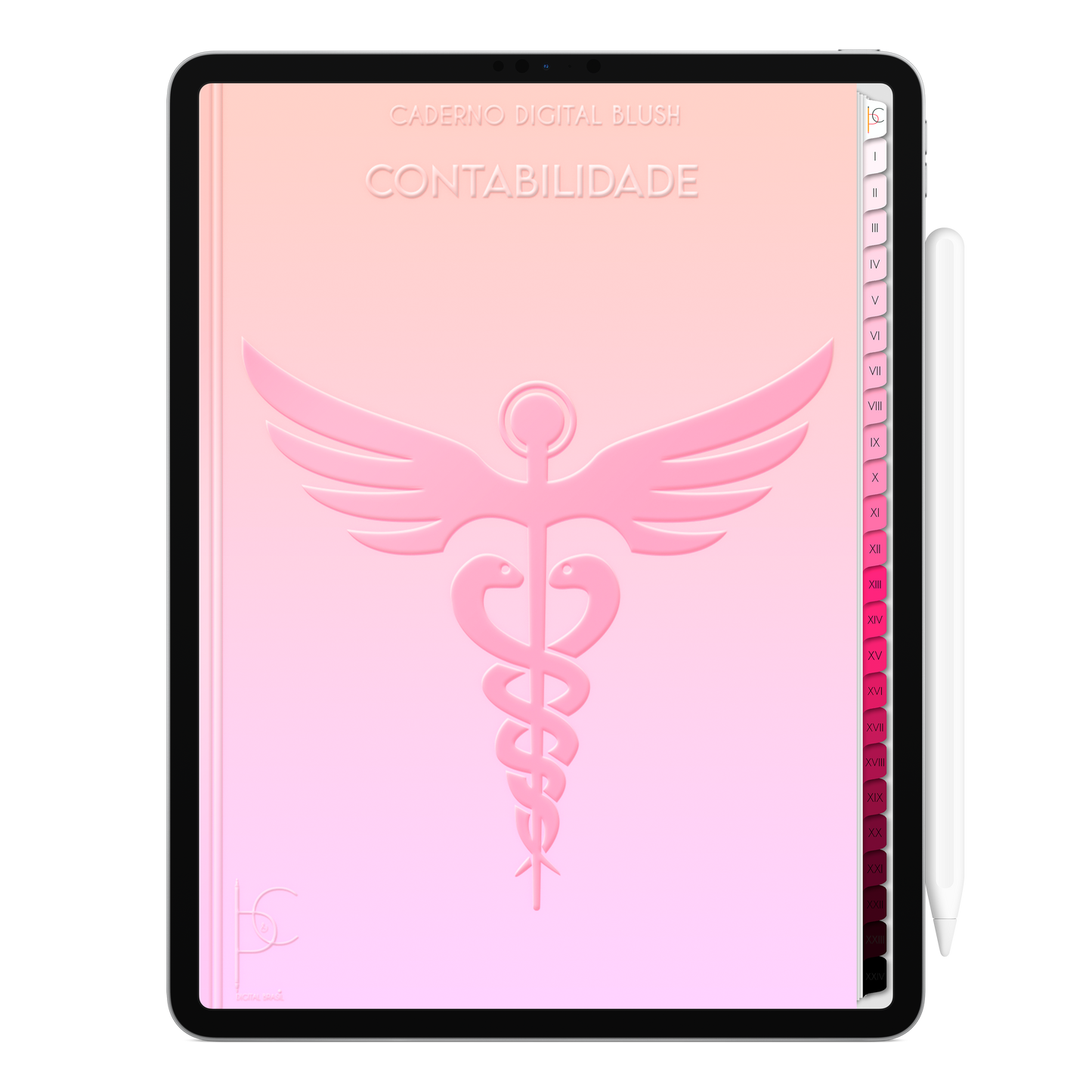 Caderno Digital Blush Feminine Contabilidade  24 Matérias • iPad e Tablet Android • Download instantâneo • Sustentável