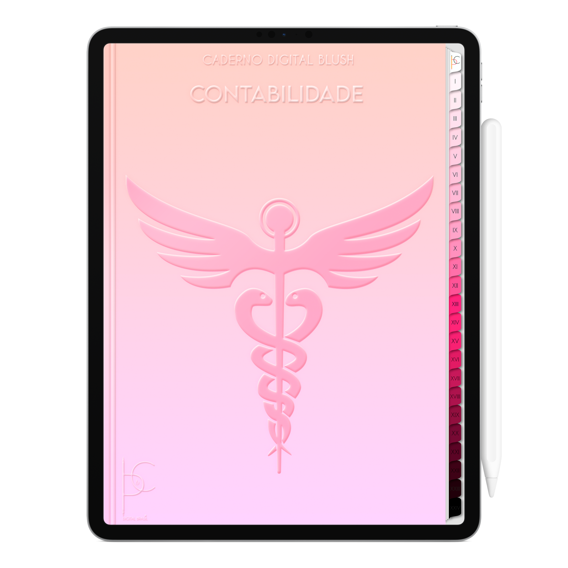 Caderno Digital Blush Feminine Contabilidade  24 Matérias • iPad e Tablet Android • Download instantâneo • Sustentável