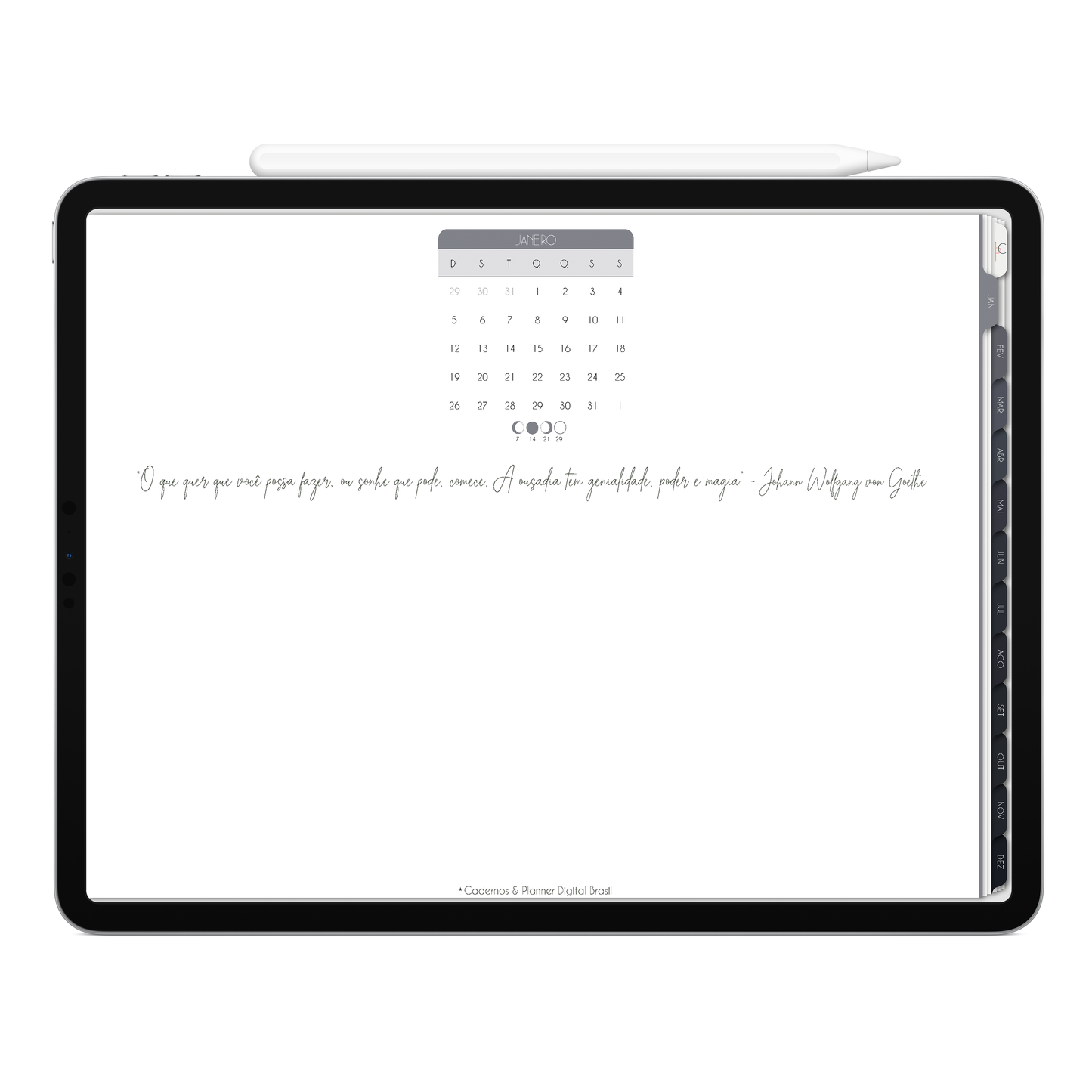 Planner Digital 2025 Horizontal Executivo Tudo Novo pt-BR • Para iPad e Tablet Android • Download Imediato