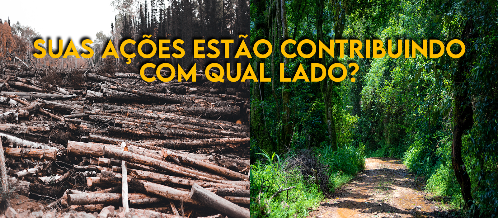 Marca Verde 100% Digital, Produtos Digital e Sustentáveis, Amigos da Floresta, Sustentabilidade, Cadernos & Planner Digital Brasil