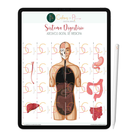 Adesivos Stickers Digital de Medicina - Sistema Digestório • iPad Tablet • GoodNotes Noteshelf