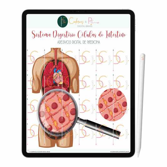 Adesivos Stickers Digital de Medicina - Sistema Digestório Células do Intestino • iPad Tablet • GoodNotes Noteshelf
