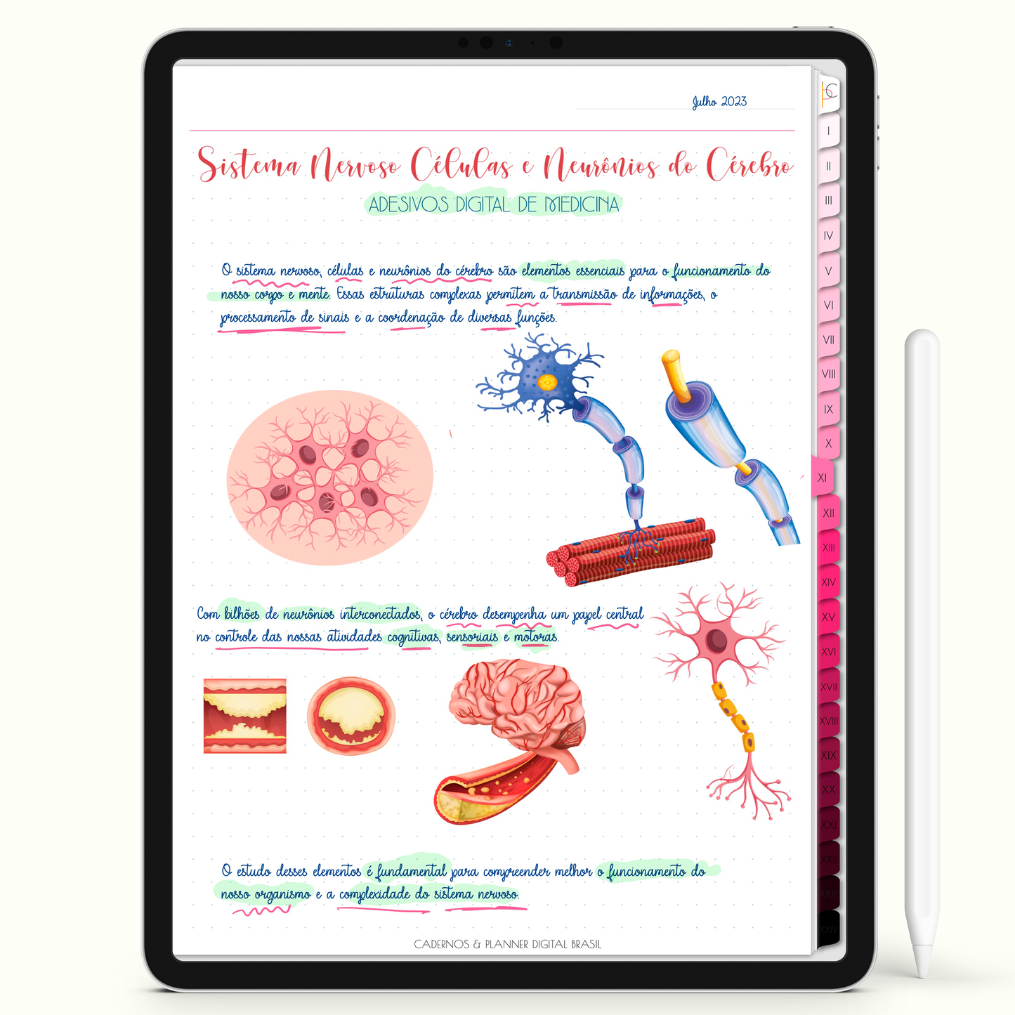 Caderno Digital Blush 24 Matérias - Página pontilhada do Caderno Digital para iPad e Tablet Android. Cadernos & Planner Digital Brasil