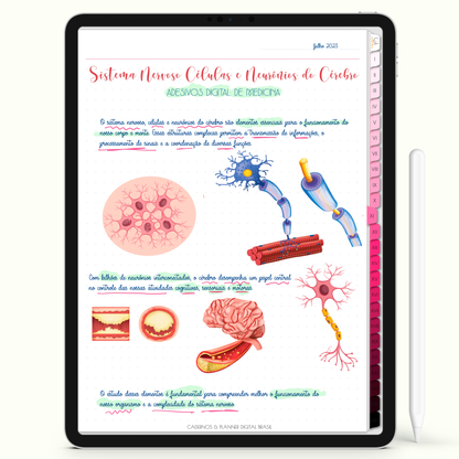 Caderno Digital Blush Biomedicina Plenitude 24 Matérias • Para iPad e Tablet Android • Download instantâneo • Sustentável