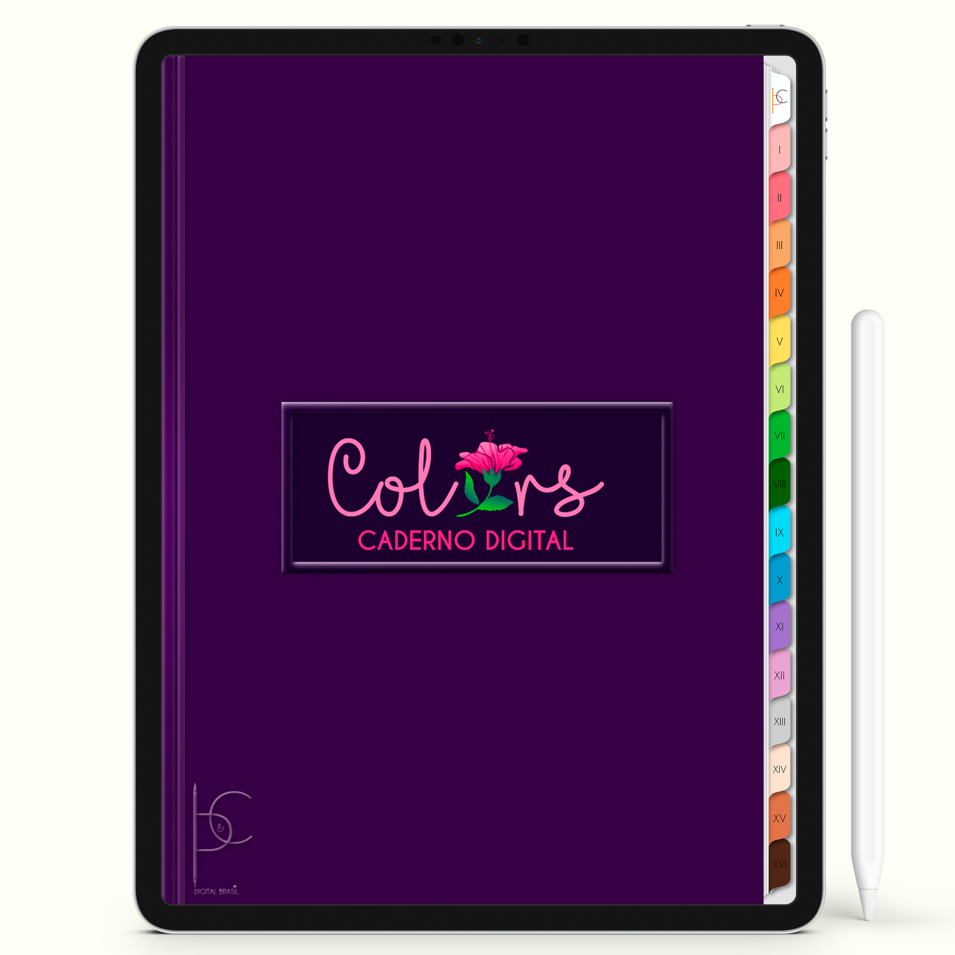 Caderno Digital Colors Melhores Resumos 16 Matérias • Para iPad e Tablet Android • Download instantâneo • Sustentável