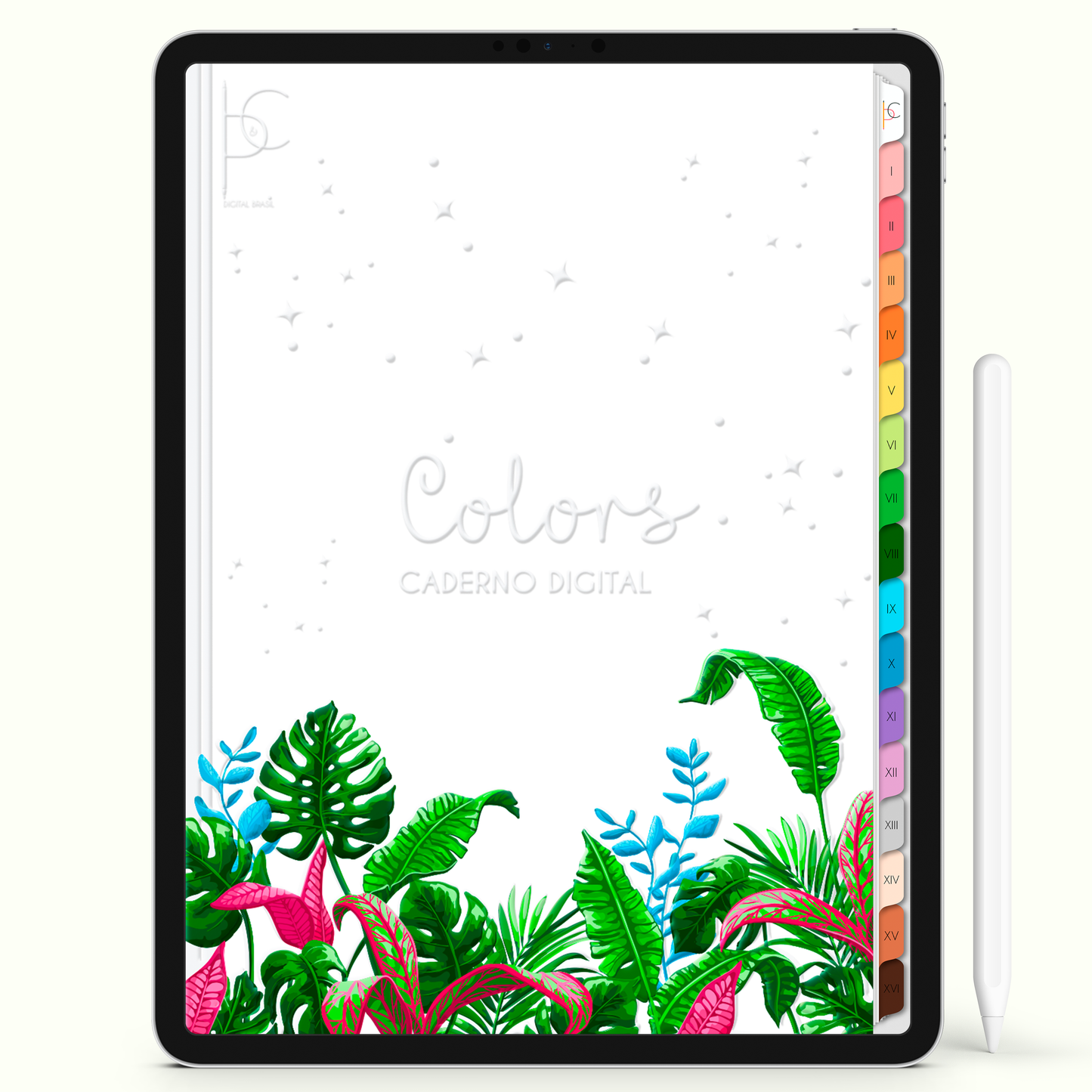 Caderno Digital Colors Space Notes 16 Matérias • Para iPad e Tablet Android • Download instantâneo • Sustentável
