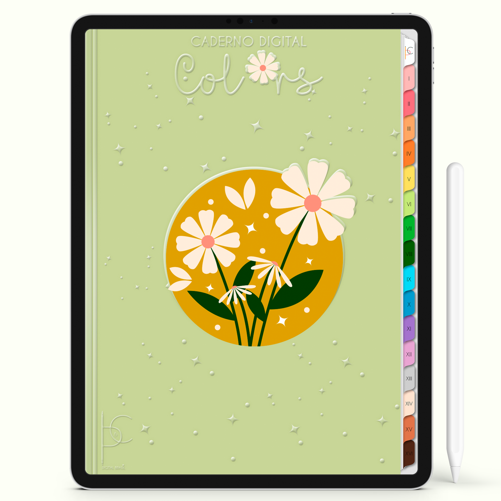 Caderno Digital Colors  Resumos e Anotações 16 Matérias • Para iPad e Tablet Android • Download instantâneo • Sustentável