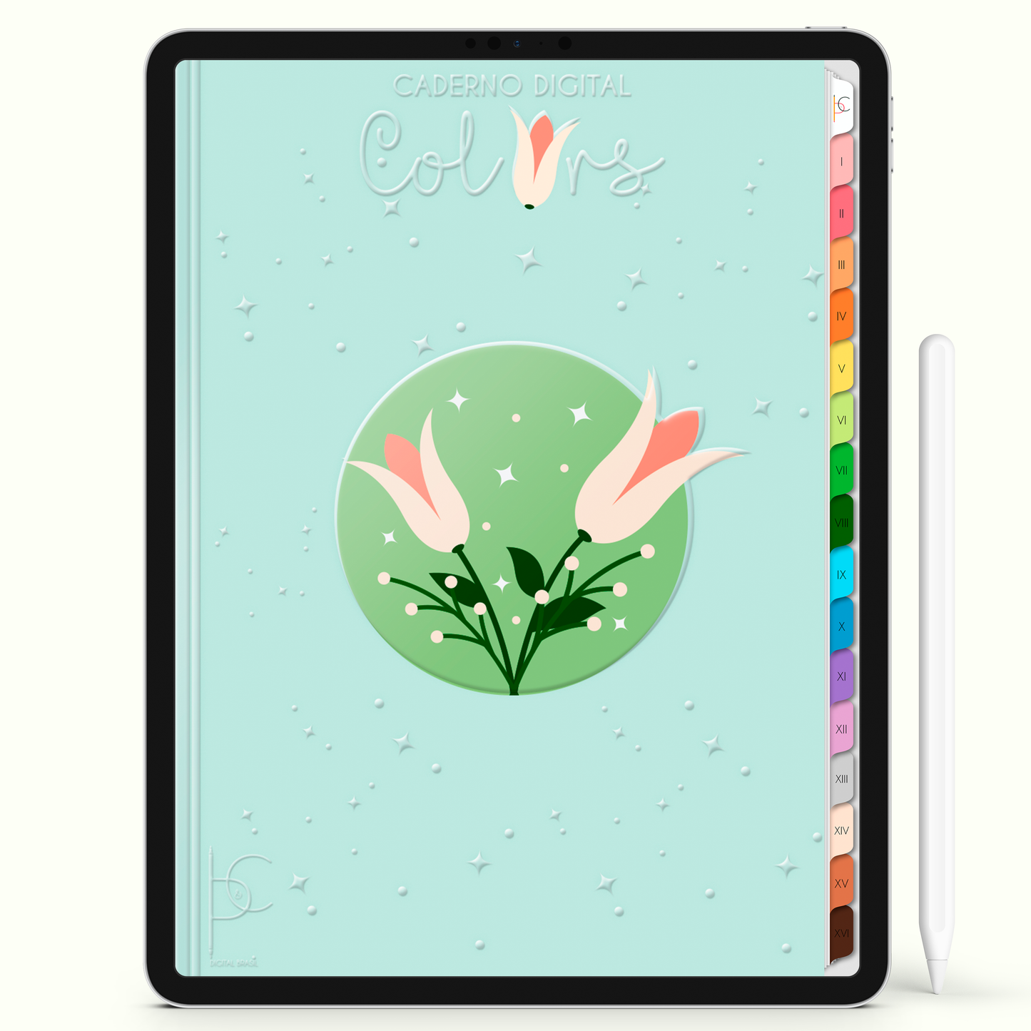 Caderno Digital Colors Dia de Resumos Color 16 Matérias • iPad Tablet Android • Download instantâneo • Sustentável