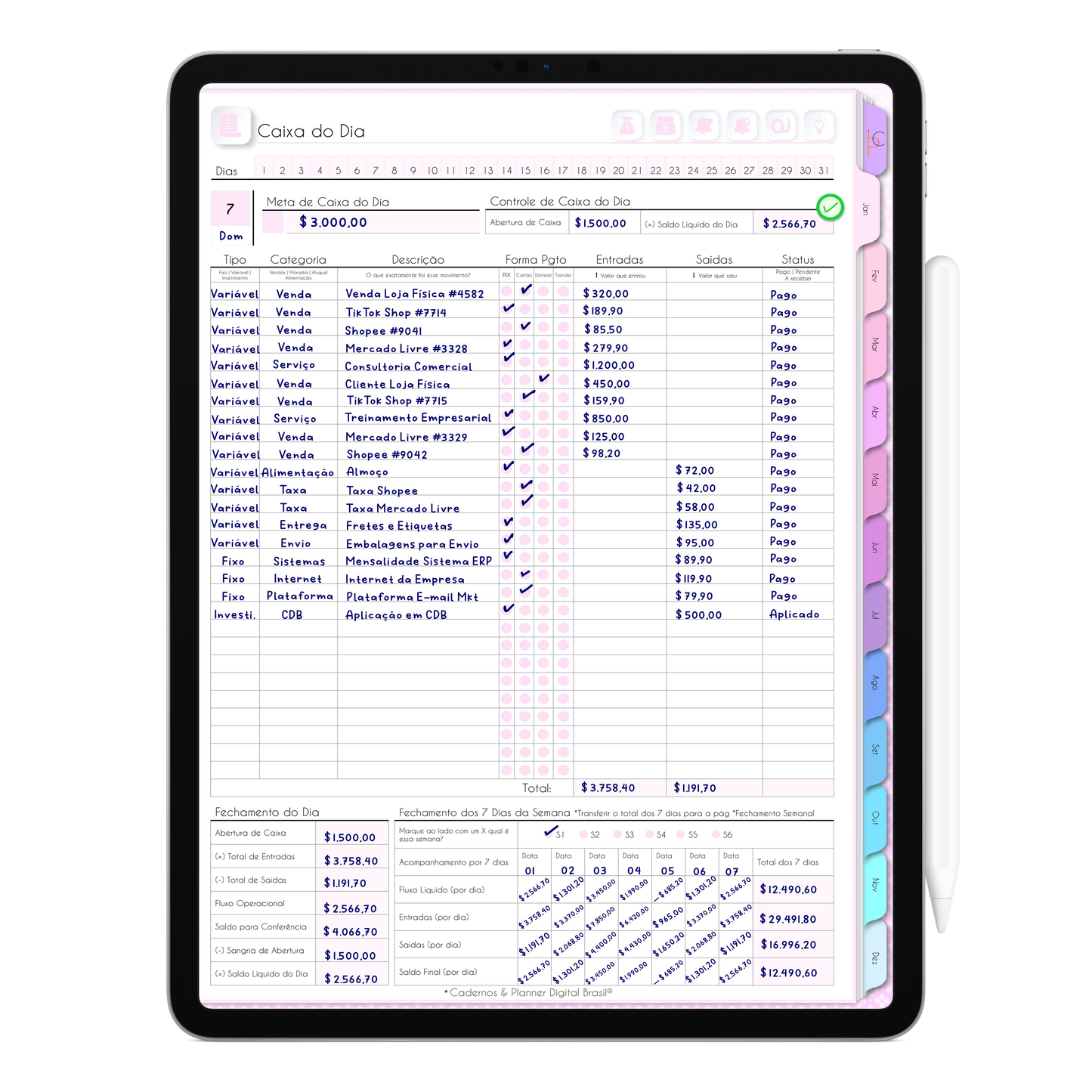 Gestão Financeira de Fluxo de Caixa na Agenda Digital Não Datada Permanente exclusiva para Tablet e iPad. 