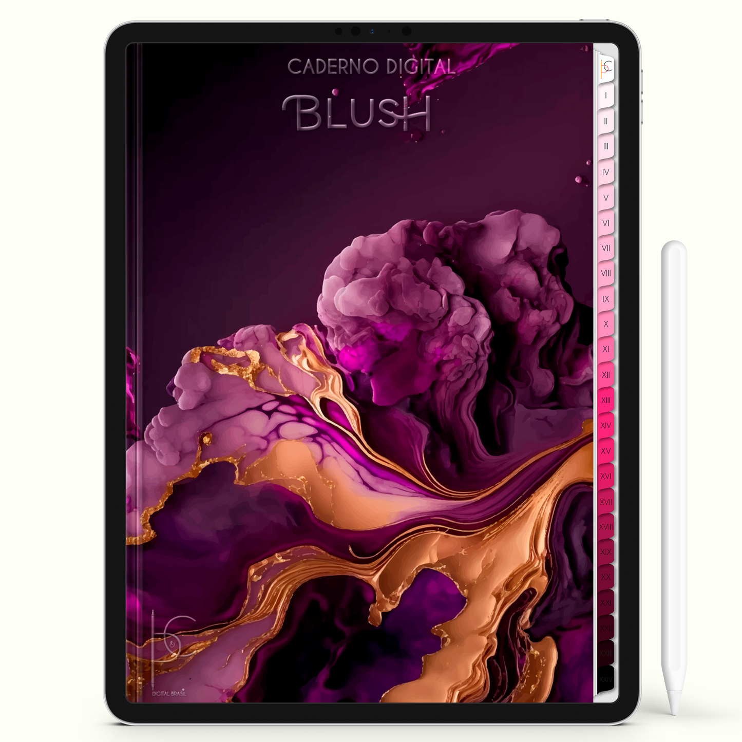 Caderno Digital Blush Notes Gold Anotações 24 Matérias • iPad e Tablet Android • Download instantâneo • Sustentável