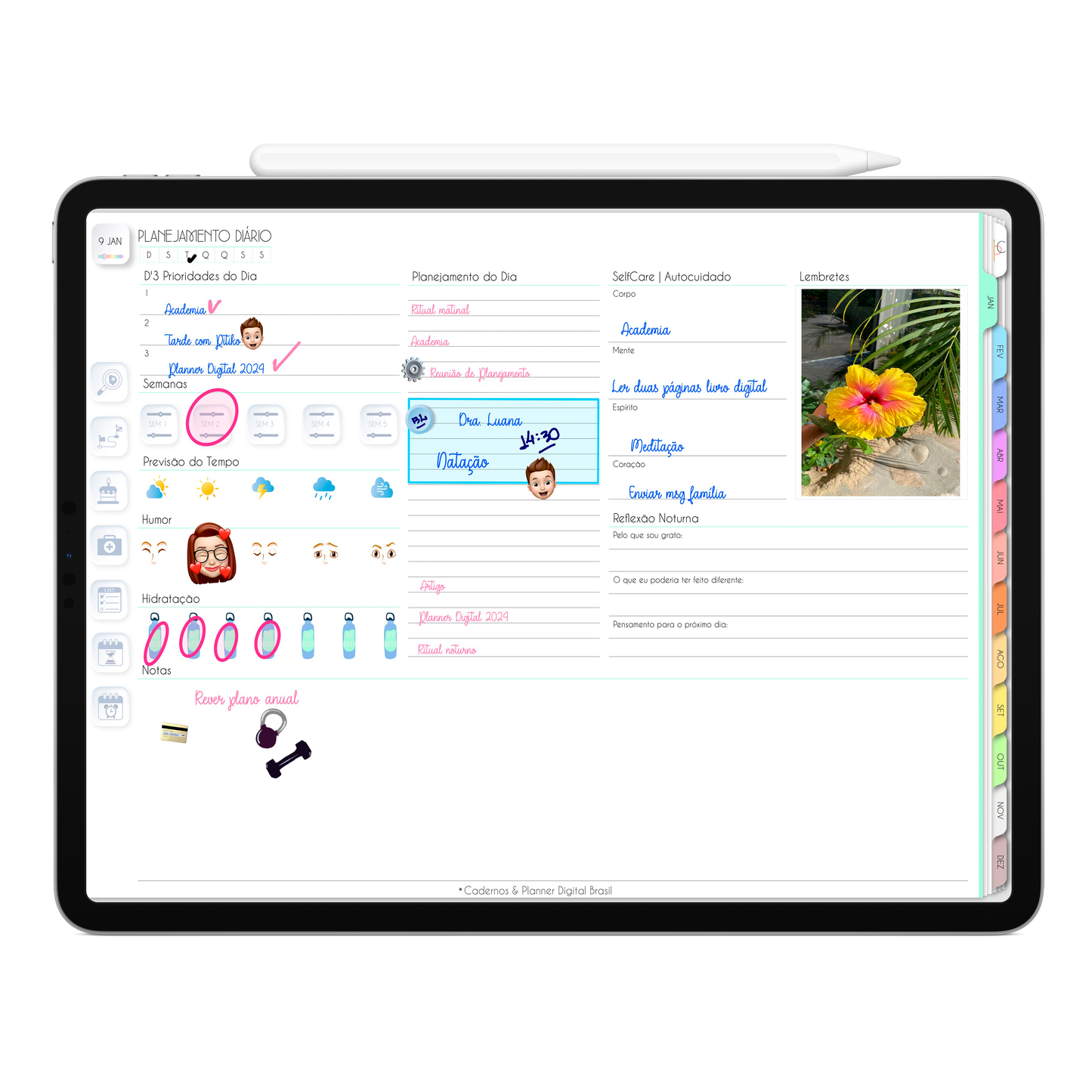 Planner Digital Horizontal Life In Colors 2024 Flor de Maria • Para iPad e Tablet Android • Download Instantâneo • Sustentável