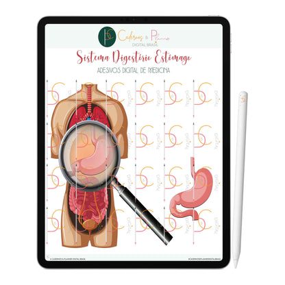 Adesivos Stickers Digital de Medicina - Sistema Digestório Estômago • iPad Tablet • GoodNotes Noteshelf