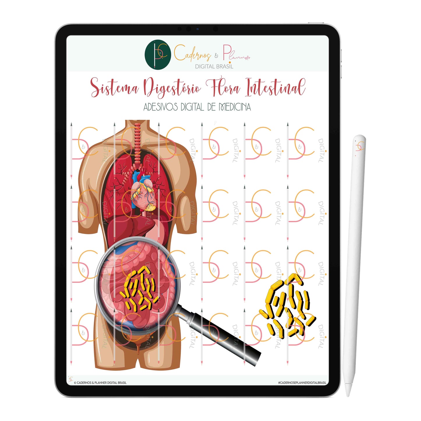 Adesivos Stickers Digital de Medicina - Sistema Digestório Flora Intestinal • iPad Tablet • GoodNotes Noteshelf