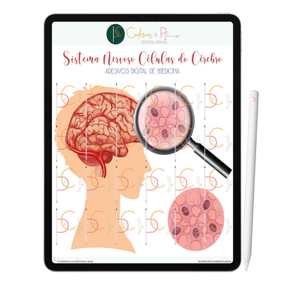 Adesivos Digital de Medicina - Sistema Nervoso Células e Neurônios do Cérebro • iPad Tablet • GoodNotes Noteshelf