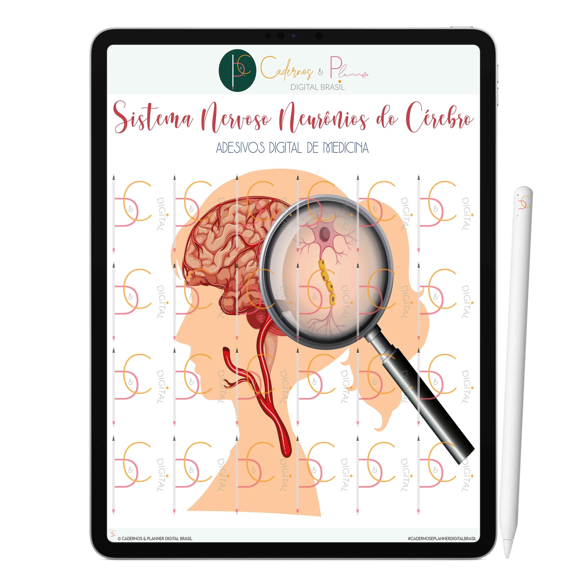 Adesivos Digital de Medicina - Sistema Nervoso Células e Neurônios do Cérebro • iPad Tablet • GoodNotes Noteshelf