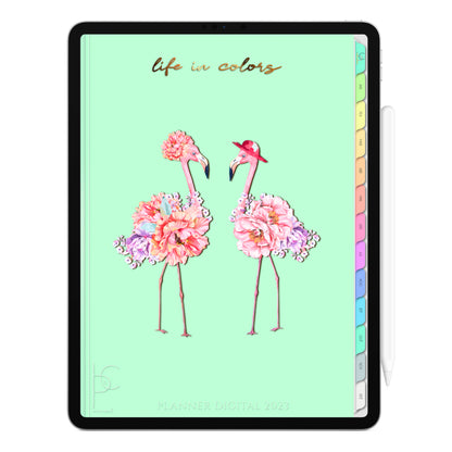 Planner Digital 2023 Vertical Life In Colors Realeza Bela • iPad Tablet • Download Instantâneo • Sustentável